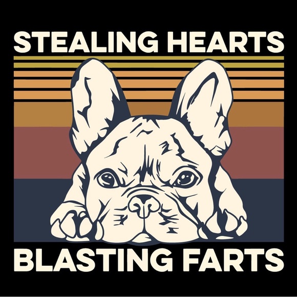 🐾Meet Ella! 🐾 - Picture 13 of 14